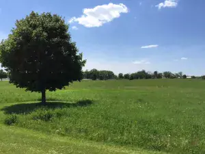 broker reciprocity