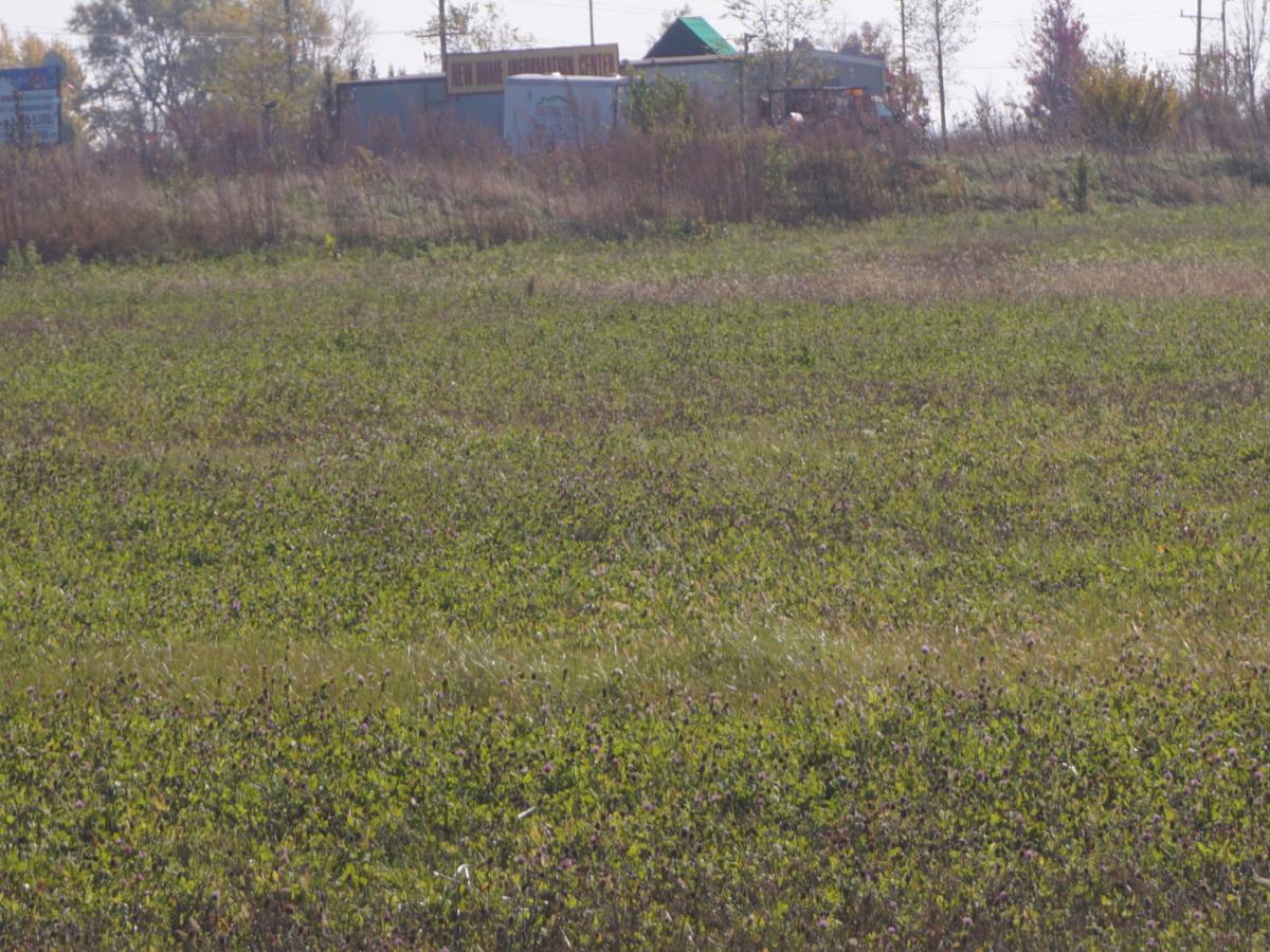 MLS #MRD11728745 image #0