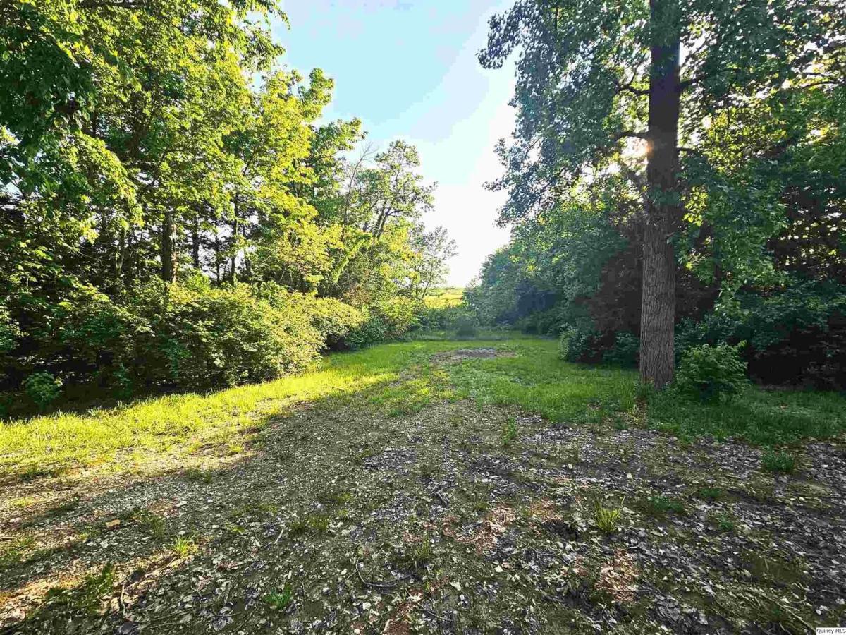 MLS #MRD12643197 image #0