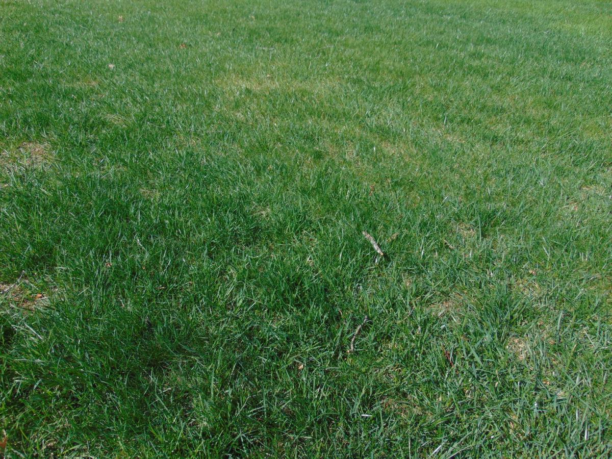 MLS #MRD12714998 image #0