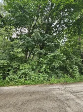 broker reciprocity