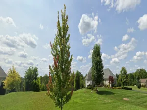 broker reciprocity