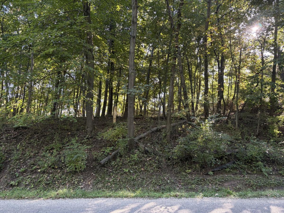 MLS #MRD12777008 image #0